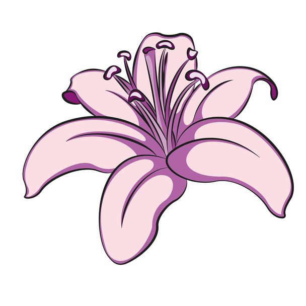 Illustration of lili - Vecteur, image