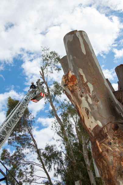 Bombeiro cortando árvores na autoescala
 - Foto, Imagem