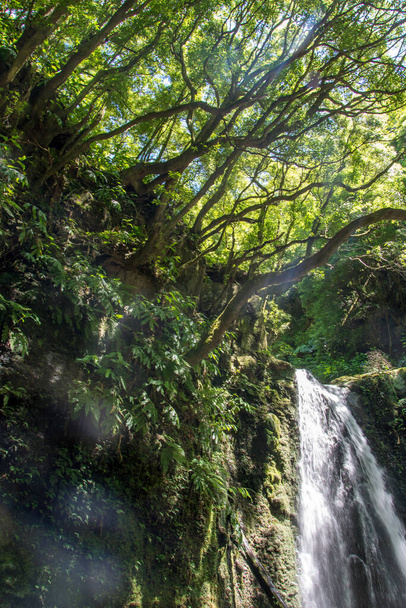 passeggiata e scoprire la prego salto cascata sull'isola di sao miguel, Azzorre, Portogallo
. - Foto, immagini