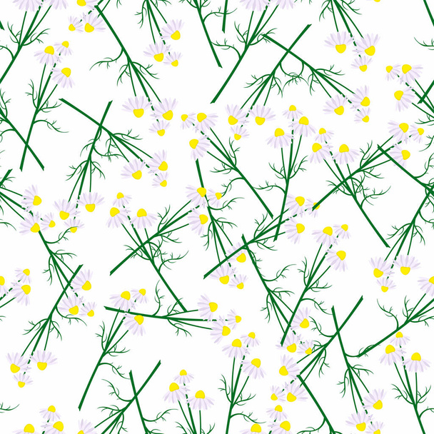 Seamless pattern with pharmacy chamomile.  - ベクター画像
