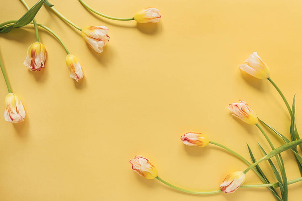 Frame made of yellow tulip flowers on yellow background. Flat lay, top view festive holiday celebration. Copy space mockup - Photo, Image