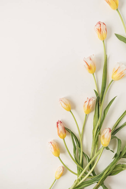 Színes tulipán virágok fehér háttérrel. Lapos fektetés, felülnézet virágos ünnep ünnepi kompozíció. Esküvő, Valentin-nap, Anyák napja. - Fotó, kép