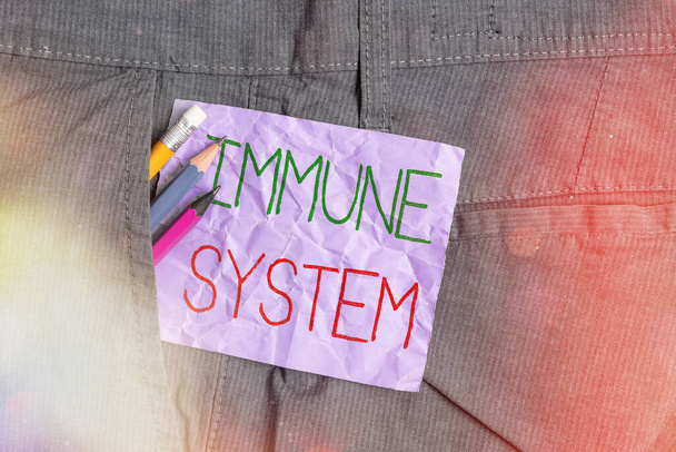 Conceptual hand writing showing Immune System. Business photo text Complex network work together to defend against germs Writing equipment and purple note paper inside pocket of trousers. - Photo, Image