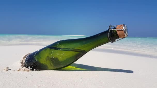 Champagne fles op zandstrand. Reis naar Bora Bora, Frans Polynesië. - Video