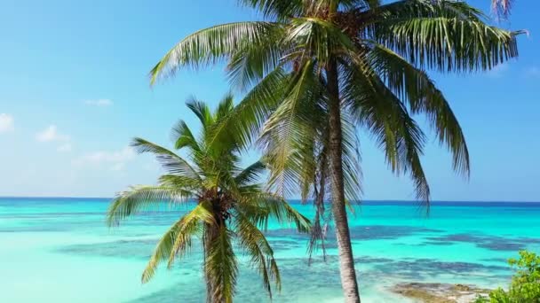 Türkiz partvonal délben. Trópusi nyaralás Bahamákon, Karib-térségben.  - Felvétel, videó
