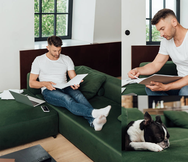 collage of freelancer holding folders near gadgets and french bulldog lying on sofa - Foto, imagen