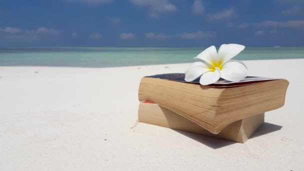 Βιβλία με λουλούδια πλουμέρια στην παραλία. Εξωτικός χαρακτήρας της Δομινικανής Δημοκρατίας, Καραϊβικής.  - Πλάνα, βίντεο