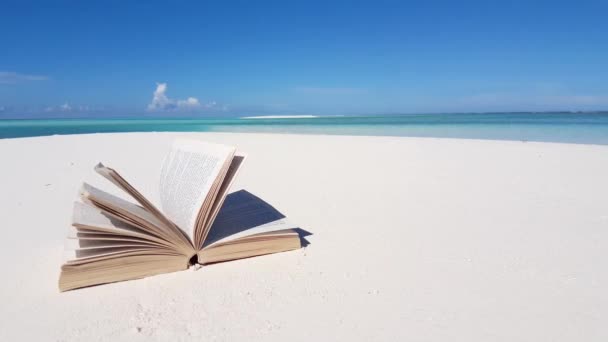 Libro aperto con pagine in movimento sulla spiaggia. Natura tropicale delle Bahamas, Caraibi.  - Filmati, video