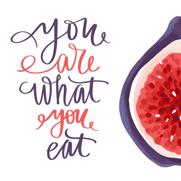 You are what you eat. Vector hand drawn lettering quote about healthy food. - Vektor, obrázek