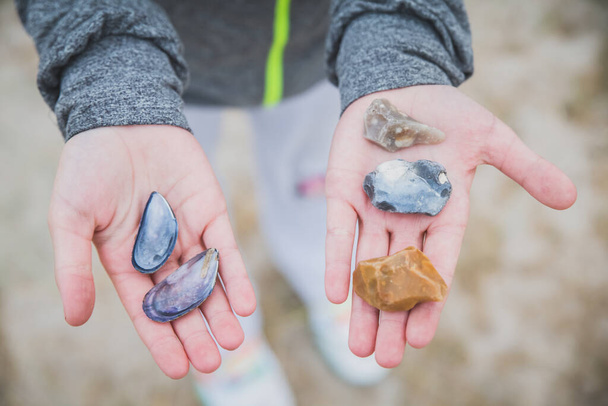 gyermek tartja a kagylók és többszínű kövek a tengerparton - Fotó, kép