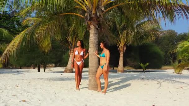 ヤシの木と日光浴の下で砂浜の海岸に立つビキニの2人の若い女の子の友人。熱帯リゾートにいる美しい女性     - 映像、動画