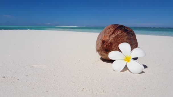 Ripe φρούτα καρύδας με frangipani λουλούδι στην παραλία. Καλοκαιρινά ταξίδια στο Μπαλί της Ινδονησίας. - Πλάνα, βίντεο