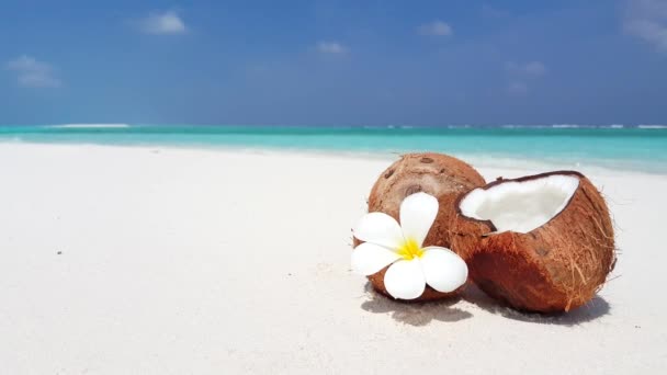Video von Kokosnüssen mit Plumeria-Blume am weißen Sandstrand und schönen Wellen im Hintergrund - Filmmaterial, Video