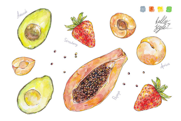 Set of watercolor fruits and berries isolated on white background. Handwork summer draw. Hello my style. - Fotó, kép
