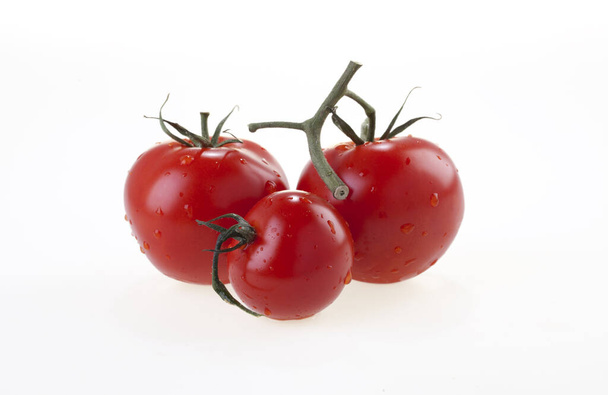 Tomates rouges juteuses sur une brindille sur fond blanc
. - Photo, image