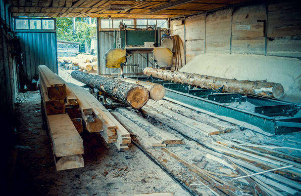 Sägewerk. Prozess der Bearbeitung von Rundholz in Maschinen Sägewerk Maschine sägt den Baumstamm auf den Brettern. Holz Sägemehl Arbeit Sägen Holz Holzbearbeitung - Foto, Bild