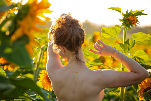 Girl on sunflower field - Photo, Image