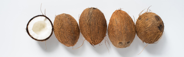 horní pohled na čerstvé chutné celé kokosové ořechy a polovinu na bílém pozadí, panoramatický záběr - Fotografie, Obrázek