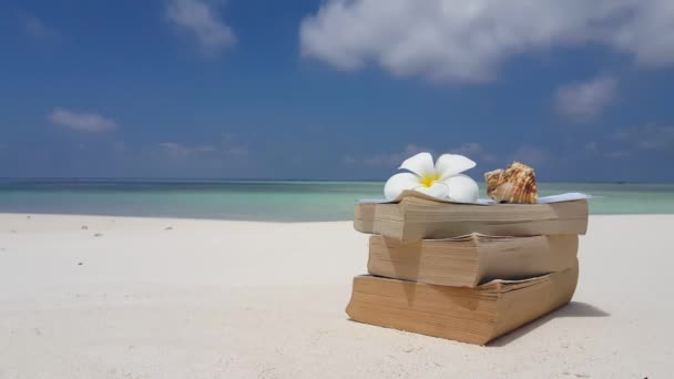 Πλούμια λουλούδι με κέλυφος και βιβλία στην παραλία. Φύση του Μπαλί, Ινδονησία. - Πλάνα, βίντεο