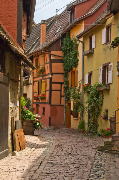 Timbered houses in the village of Eguisheim in Alsace, France - 写真・画像