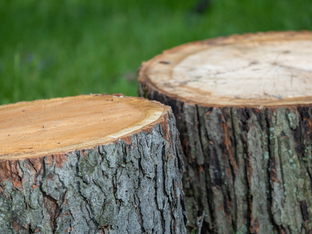 2 troncos de tronco de árbol de cerca con un fondo de hierba verde. Madera real en la naturaleza
. - Foto, Imagen