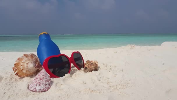 ビーチで化粧水と貝殻のサングラス。カリブ海のバルバドスへの熱帯旅行.   - 映像、動画