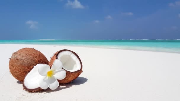 Coco dulce maduro en la playa clara. Vista panorámica del paisaje marino en Bali.  - Metraje, vídeo