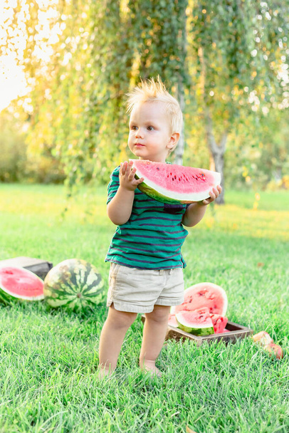 Beautiful blonde child boy eating big slice of ripe red watermelon on watermelon field at harwest. Happy childhood in summer time in backyard. Caucasian baby boy enjoy picnic outdoors on grass lawn. - Photo, Image