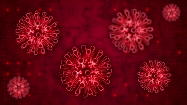 Novel coronavirus 2019-nCoV v lidské krvi. Věda a medicína koncept - Záběry, video