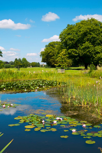 絵のように美しい村の緑の夏の日差しとイギリス、グロスターシャー州の7月のフランプトンの池. - 写真・画像
