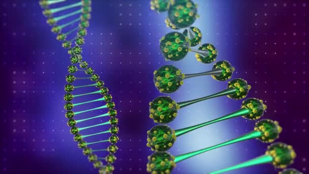 La spirale dell'elica del DNA del primo piano ruota su sfondo blu digitale. Scienza e salute
 - Filmati, video
