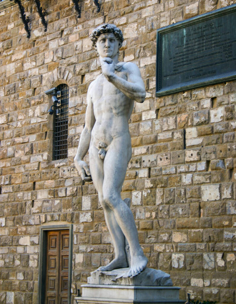 Davidstatue von Michelangelo Buonaroti in Florenz, Italien - Foto, Bild
