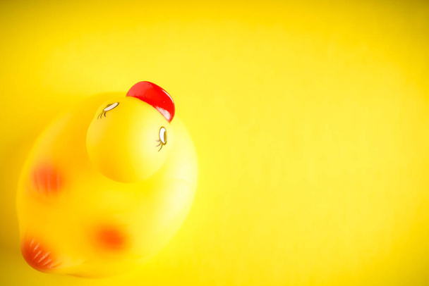 pato de goma amarillo sobre fondo amarillo
 - Foto, Imagen