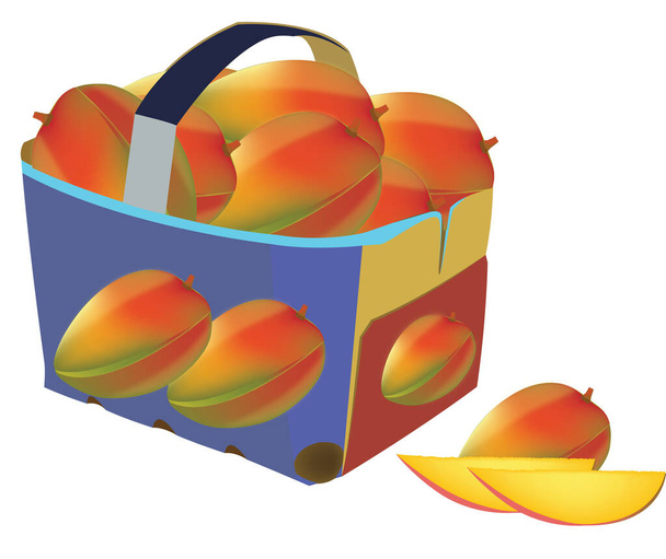 tekturowy koszyk nadający się do recyklingu do transportu owoców i żywności - Wektor, obraz