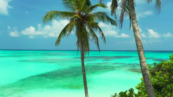 Vista para o mar a partir da praia de areia, férias de verão incríveis em Bermuda no Oceano Atlântico Norte - Filmagem, Vídeo