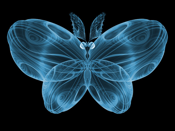 Butterfly Elegance - Фото, изображение