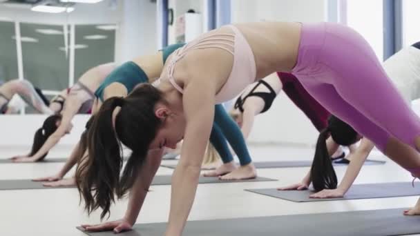 Sport and healthy lifestyle. Female instructor practicing downward facing dog pose with clients in white fitness centre - Filmmaterial, Video