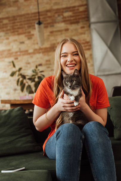 happy young woman holding in arms cute cat near smartphone on sofa - Foto, Imagen