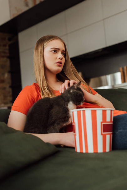 selectieve focus van jonge vrouw aanraken kat tijdens het kijken film in de buurt van popcorn emmer  - Foto, afbeelding