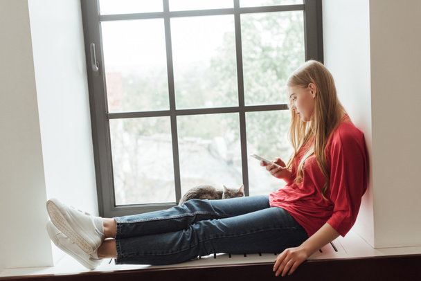 jovem mulher sentada na soleira da janela com gato e usando smartphone
  - Foto, Imagem