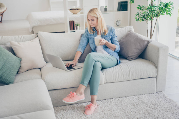 Photo of attractive middle aged domestic lady relaxing sitting comfy sofa couch drink coffee browsing notebook freelancer remote work stay home quarantine time weekend living room indoors - Photo, Image