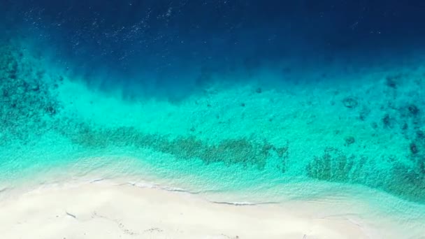 Borde de la isla de arena bajo el sol brillante. Relajación de verano en Bora Bora, Polinesia Francesa. - Metraje, vídeo