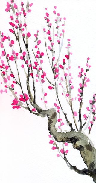Watercolor background. Crimson flowers on tree branches - Фото, зображення