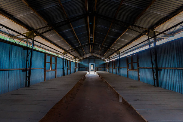 Escenas de guerra civil en la prisión de cocoteros en la isla de Phu Quoc, una zona de Thoi en Vietnam. Escenas realistas con muñecas
. - Foto, Imagen
