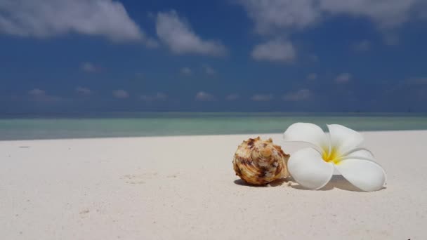 Rano widok na plażę. Podróż na Bora Bora, Polinezja Francuska. - Materiał filmowy, wideo