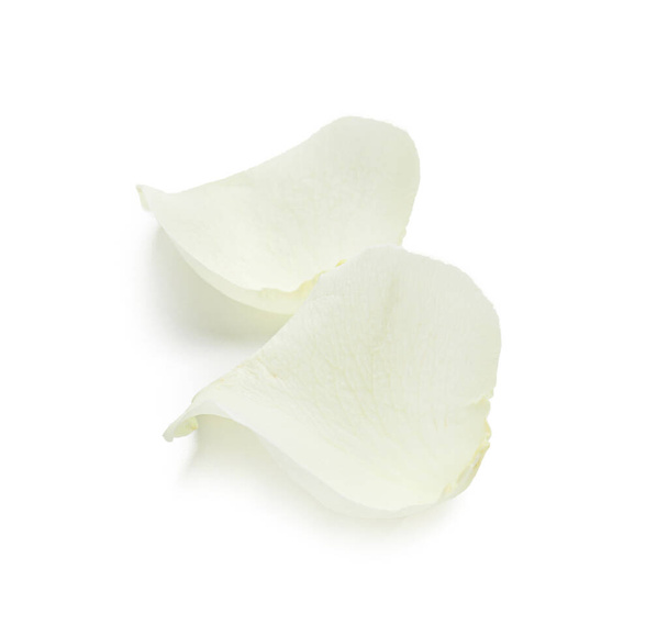 Beautiful rose petals on white background - Photo, Image