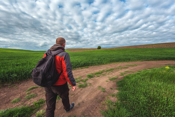Человек в красной куртке с рюкзаком идет по грунтовой дороге на зеленом сельскохозяйственном поле
 - Фото, изображение