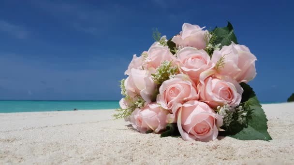 Růžové růže kytice na pláži. Letní odpočinek na Bali, Indonésie.   - Záběry, video