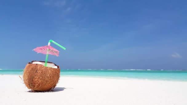 Kokosový koktejl se slámou na písečné pláži. Letní výlet do Austrálie. - Záběry, video