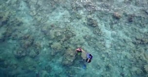 Jong gelukkig stel zwemmen en snorkelen op kristalhelder water in de Malediven. Genieten van exotische zomervakantie. - Video